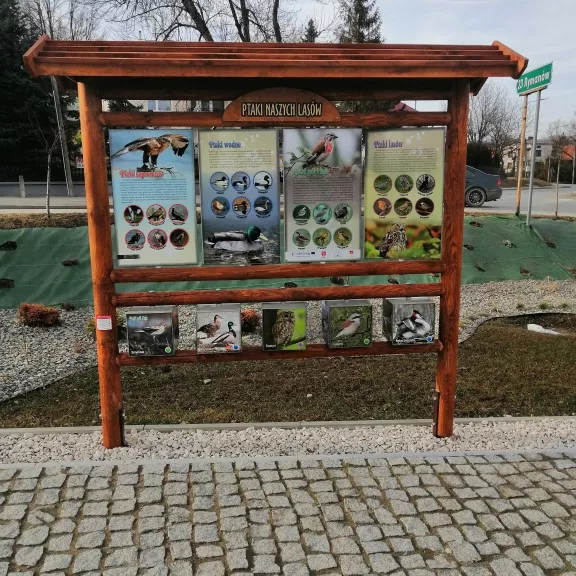 IMG 20220301 152556