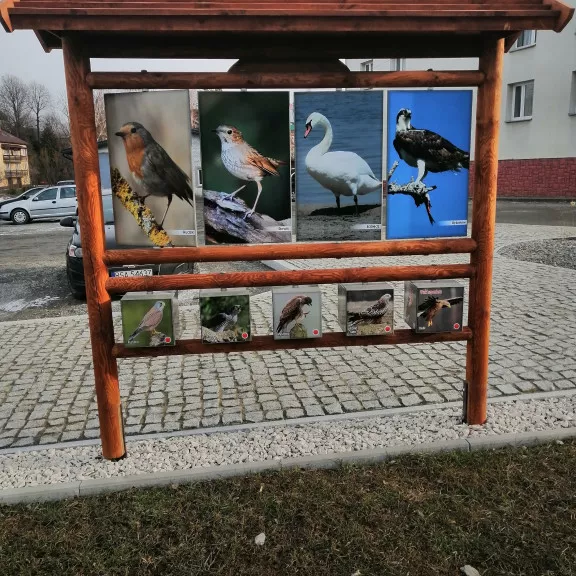 IMG 20220301 152614