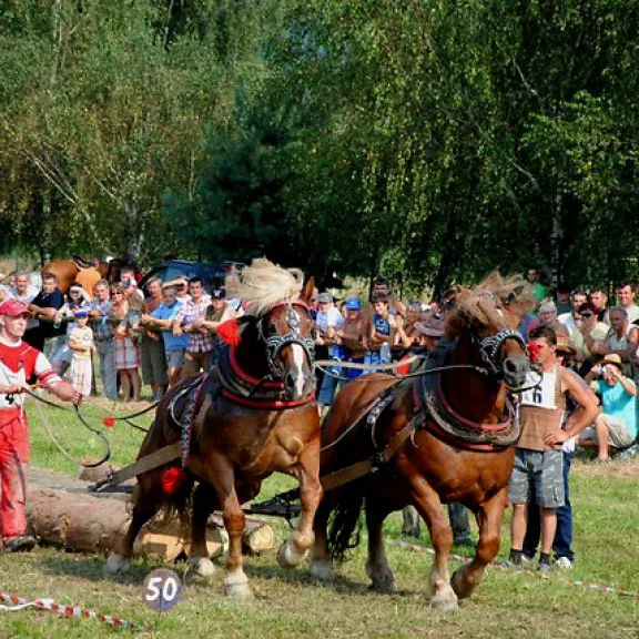 Mikroprojekt pt. Przyjazn w kolorach teczy 11