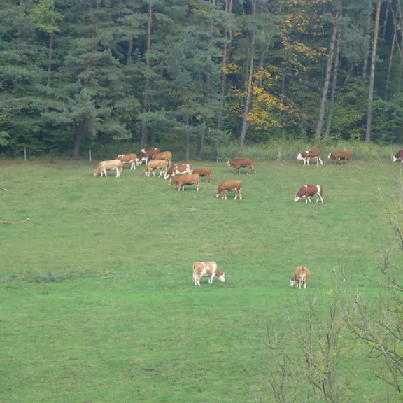 Zwiekszenie atrakcyjnosci pogranicza 6