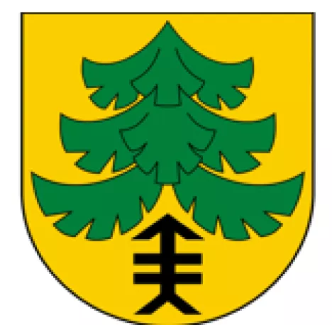 Miasto i Gmina Jedlicze 