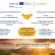 Szkolenia dla wnioskodawców w ramach priorytetu 4. WSPÓŁPRACA Funduszu Małych Projektów Programu Interreg NEXT Polska – Ukraina 2021-2027